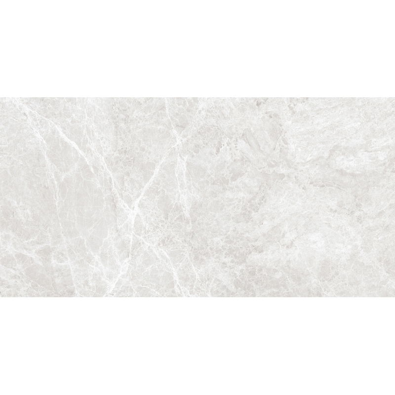 Mexen Lizard Silver Glazed Rectified Stoneware Sample G1, Floor-Wall Tile 120 x 60 cm, Glossy - TL109-03-S