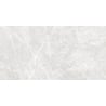 Mexen Lizard Silver Glazed Rectified Stoneware Sample G1, Floor-Wall Tile 120 x 60 cm, Glossy - TL109-03-S
