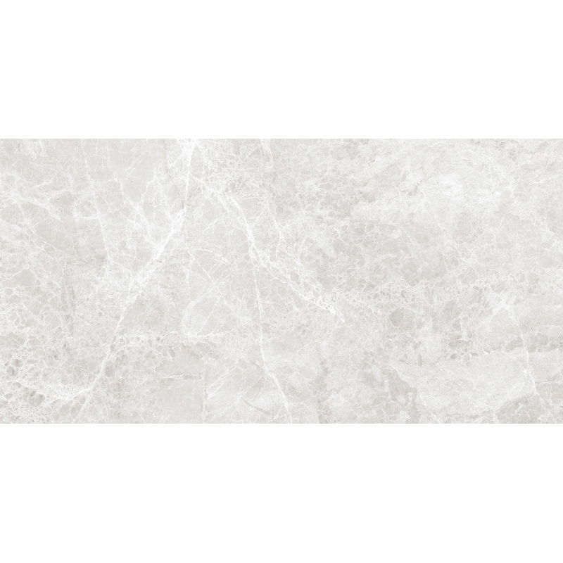 Mexen Lizard Silver glazed rectified stoneware sample G1, floor-wall tile, gloss - TL109-03-S