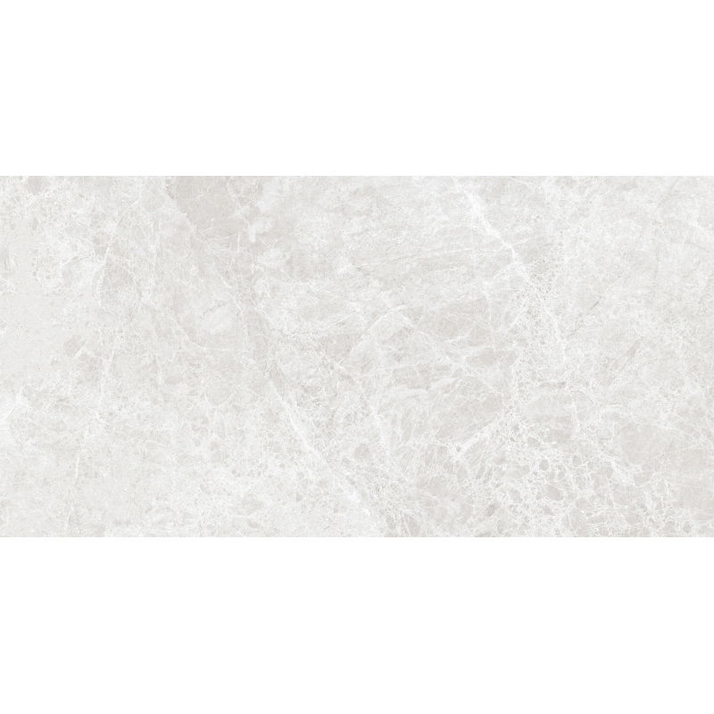 Mexen Lizard Silver glazed rectified stoneware sample G1, floor-wall tile, gloss - TL109-03-S