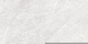 Mexen Lizard Silver Glazed Rectified Stoneware Sample G1, Floor-Wall Tile 120 x 60 cm, Glossy - TL109-03-S