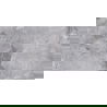 Mexen Eternity Gray Glazed Rectified Porcelain Tile Sample G1, Floor-Wall Tile 120 x 60 cm, Glossy - TL112-01-S