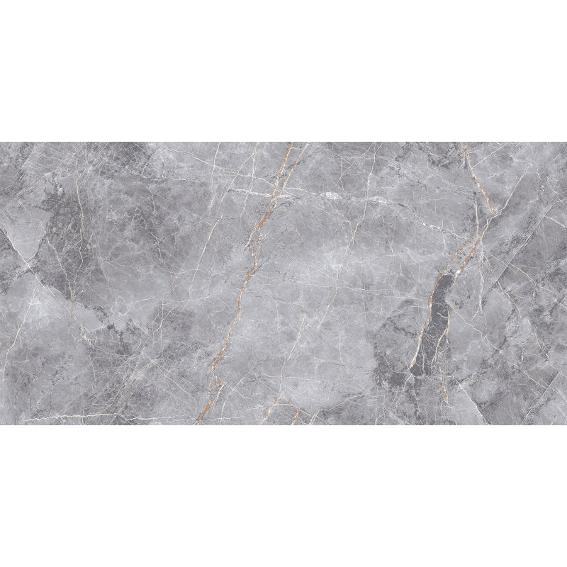 Mexen Eternity Gray Glazed Rectified Porcelain Tile Sample G1, Floor-Wall Tile 120 x 60 cm, Glossy - TL112-01-S