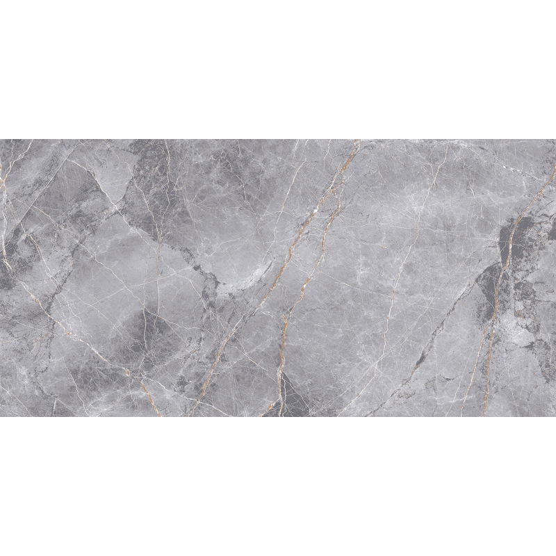 Mexen Eternity Gray Glazed Rectified Porcelain Tile Sample G1, Floor-Wall Tile 120 x 60 cm, Glossy - TL112-01-S