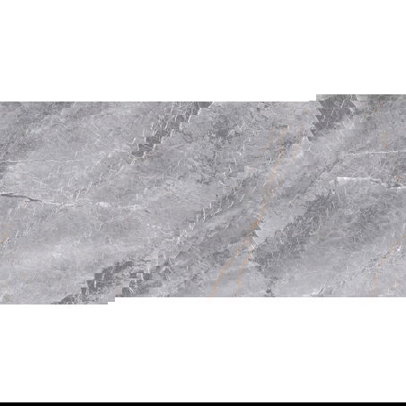 Mexen Eternity Grey glazed rectified porcelain tile sample G1, floor-wall tile, gloss - TL112-01-S