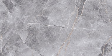 Mexen Eternity Grey glazed rectified porcelain tile sample G1, floor-wall tile, gloss - TL112-01-S