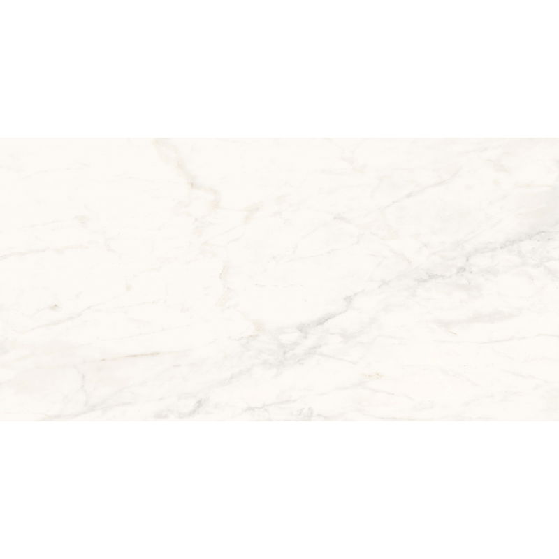 Mexen Belco Grey glazed porcelain tile sample rectified. G1, floor-wall tile, glossy - TL114-00-S
