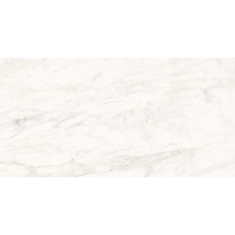 Mexen Belco Grey Glazed Rectified Gres Sample G1, Floor-Wall Tile 120 x 60 cm, Glossy - TL114-00-S