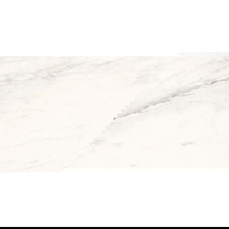 Mexen Belco Grey Glazed Rectified Gres Sample G1, Floor-Wall Tile 120 x 60 cm, Glossy - TL114-00-S