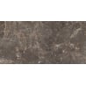 Mexen Champion Brown glazed rectified stoneware sample G1, floor-wall tile 120 x 60 cm, gloss - TL116-00-S