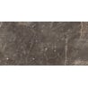 Mexen Champion Brown glazed rectified stoneware sample G1, floor-wall tile 120 x 60 cm, gloss - TL116-00-S