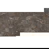 Mexen Champion Brown Sample of Glazed Rectified G1 Porcelain Stoneware, Floor-Wall Tile, Glossy - TL116-00-S