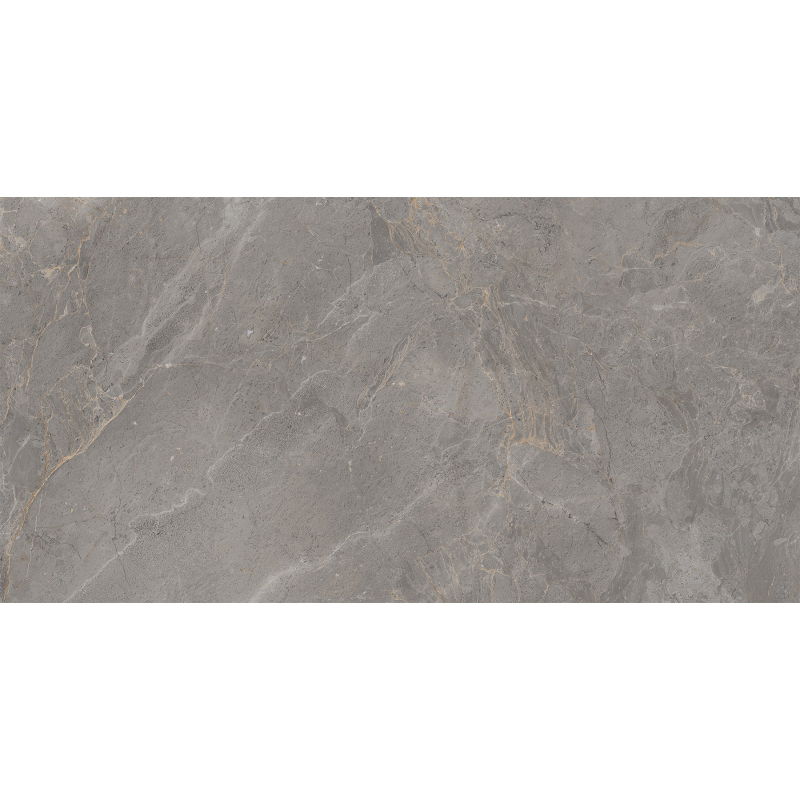 Mexen Era Grey sample of glazed rectified G1 stoneware, floor-wall tile, gloss - TL117-03-S