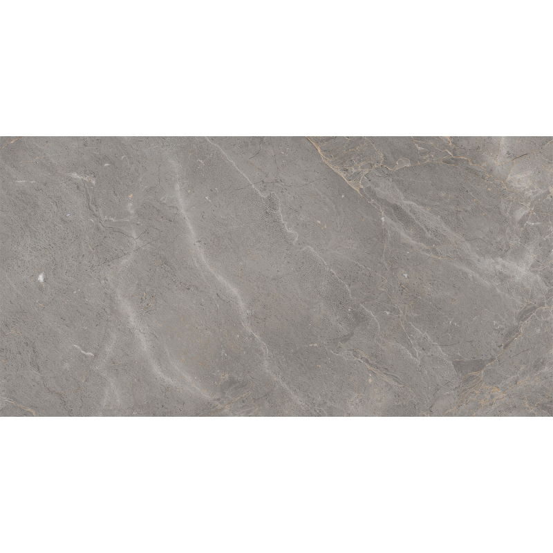 Mexen Era Grey sample of glazed rectified G1 stoneware, floor-wall tile, gloss - TL117-03-S