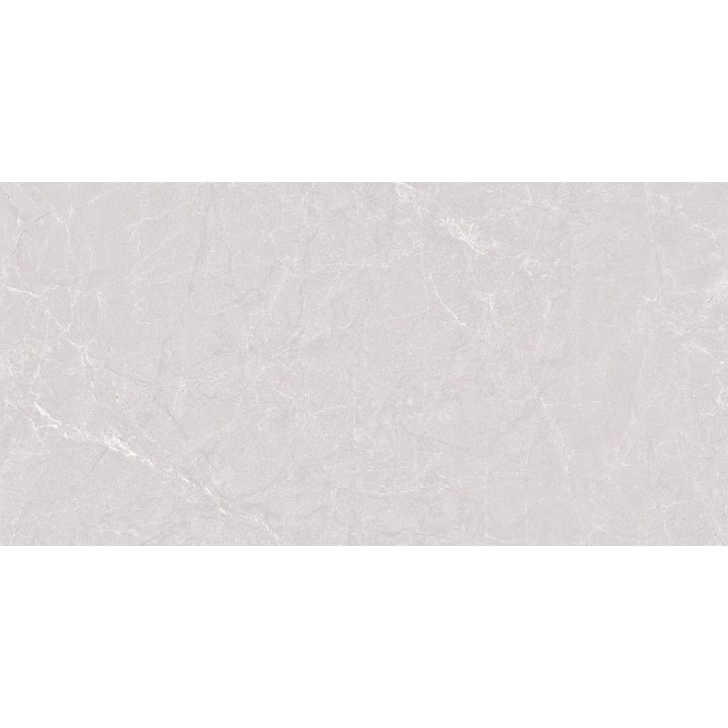 Mexen Bellisimo Silver Sample of Glazed Rectified Porcelain Tile G1, Floor-And-Wall Tile 120 x 60 cm, Gloss - TL120-03-S