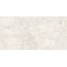 Mexen Artistic Steel glazed rectified gres tile sample G1, floor and wall tile 120 x 60 cm, gloss - TL121-01-S