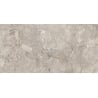Mexen Artistic Gray glazed rectified stoneware sample G1, floor-wall tile 120 x 60 cm, glossy - TL121-00-S