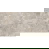 Mexen Artistic Gray glazed rectified stoneware sample G1, floor-wall tile, gloss - TL121-00-S