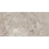 Mexen Artistic Gray glazed rectified stoneware sample G1, floor-wall tile 120 x 60 cm, glossy - TL121-00-S