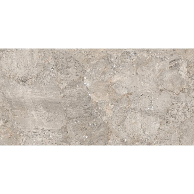 Mexen Artistic Gray glazed rectified stoneware sample G1, floor-wall tile 120 x 60 cm, glossy - TL121-00-S