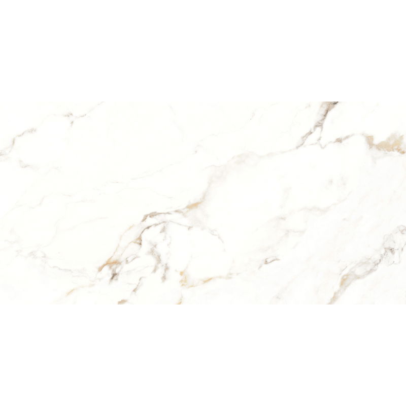 Mexen Scordia Grey glazed rectified tile sample G1, floor-wall tile, gloss - TL125-00-S