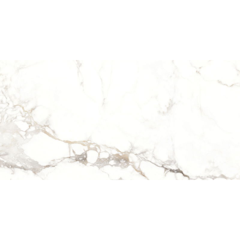 Mexen Scordia Grey glazed rectified tile sample G1, floor-wall tile, gloss - TL125-00-S