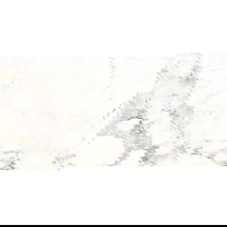 Mexen Scordia Grey glazed rectified stoneware sample, floor-wall tile 120 x 60 cm, gloss - TL125-00-S