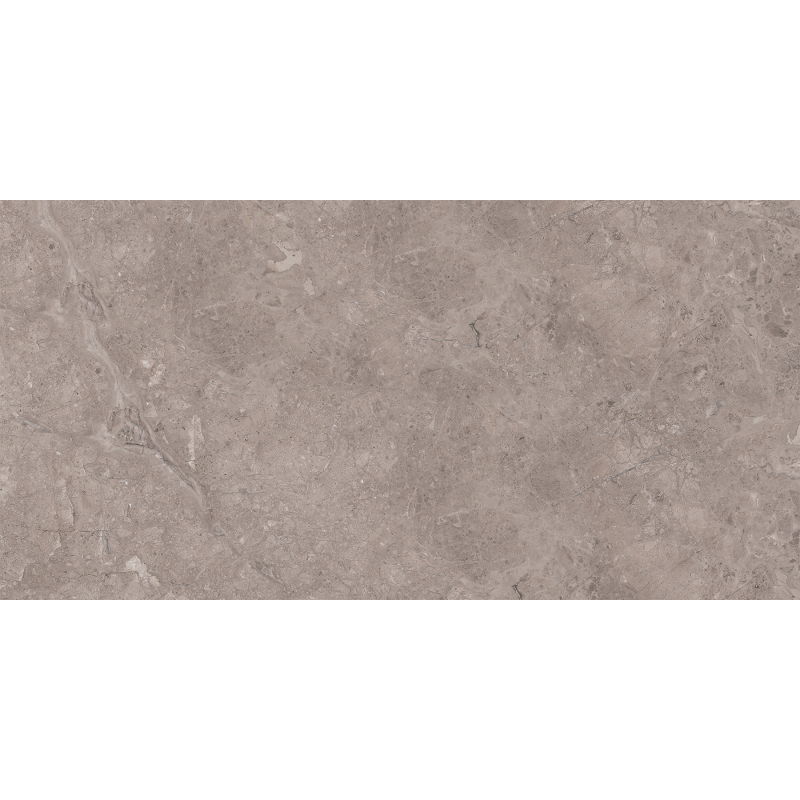 Mexen Olpado Choco sample of rectified glazed porcelain stoneware, floor-wall tile 120 x 60 cm, gloss - TL126-01-S