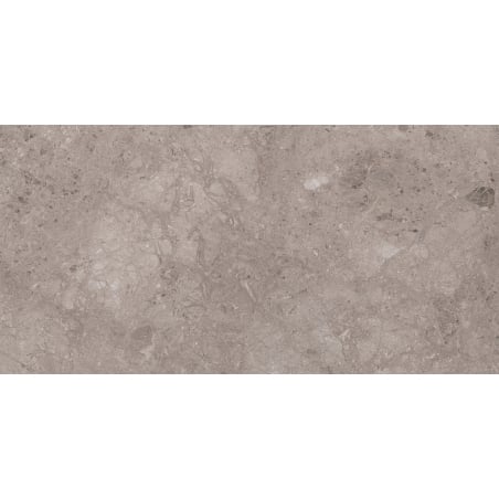 Mexen Olpado Choco sample of rectified glazed porcelain stoneware, floor-wall tile 120 x 60 cm, gloss - TL126-01-S