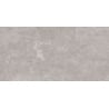 Mexen Qortecia Grey Sample of Glazed Rectified Porcelain Gres G1, Floor-Wall Tile 120 x 60 cm, Glossy - TL129-01-S