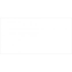 Mexen White sample of glazed rectified G1 porcelain, floor-wall tile, gloss - TL134-00-S