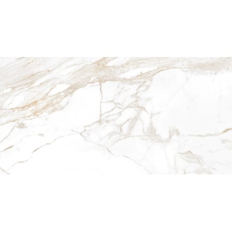 Mexen Faro Natural sample of glazed rectified stoneware tile G1, floor-wall tile 120 x 60 cm, gloss - TL138-01-S