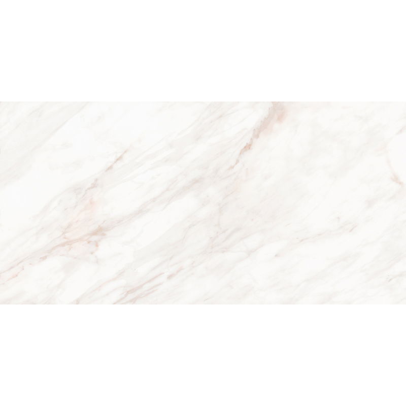 Mexen Forever Grey glazed rectified porcelain sample G1, floor and wall tile 120 x 60 cm, gloss - TL139-00-S