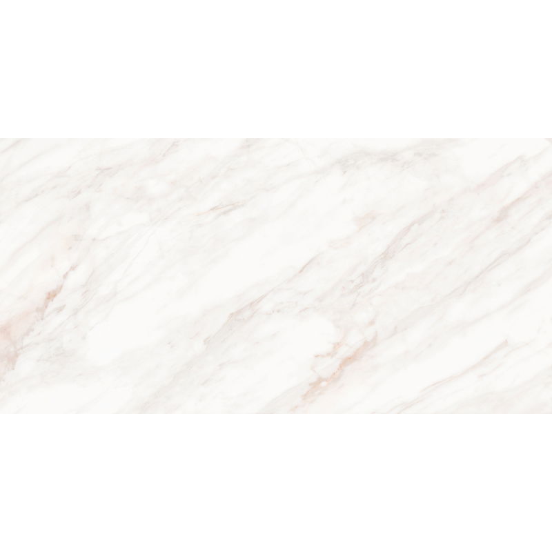 Mexen Forever Grey glazed rectified porcelain sample G1, floor and wall tile 120 x 60 cm, gloss - TL139-00-S