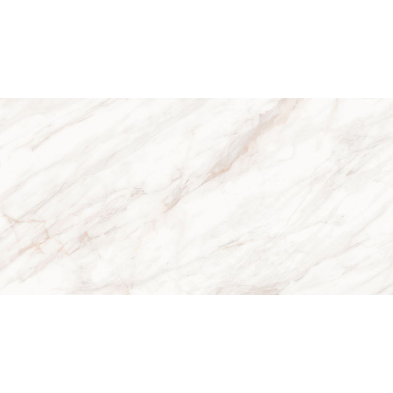 Mexen Forever Grey glazed rectified porcelain stoneware sample G1, floor and wall tile, gloss - TL139-00-S