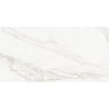 Mexen Rayas Silver glazed gres sample rectified G1, floor-wall tile 120 x 60 cm, gloss - TL147-01-S
