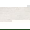 Mexen Homes Bianco sample of rectified glazed stoneware. G1, floor-wall tile 120 x 60 cm, gloss - TL151-00-S