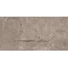 Mexen Arbour Taupe glazed rectified stoneware sample, floor-wall tile 120 x 60 cm, glossy - TL158-01-S