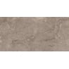 Mexen Arbour Taupe glazed rectified stoneware sample, floor-wall tile 120 x 60 cm, glossy - TL158-01-S