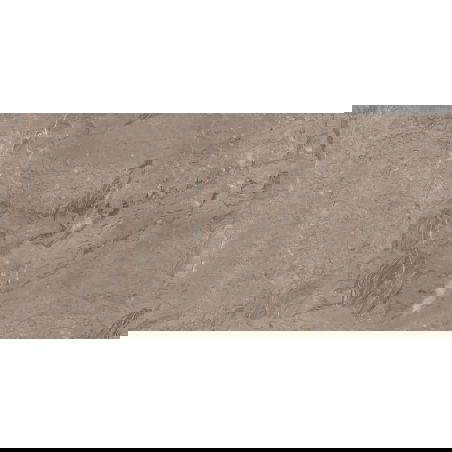 Mexen Arbour Taupe glazed rectified stoneware sample G1, floor-wall tile, gloss - TL158-01-S