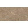 Mexen Nairobi Natural sample of glazed rectified porcelain stoneware, floor and wall tile 120 x 60 cm, gloss - TL160-02-S