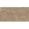 Mexen Nairobi Natural sample of glazed rectified porcelain stoneware, floor and wall tile 120 x 60 cm, gloss - TL160-02-S