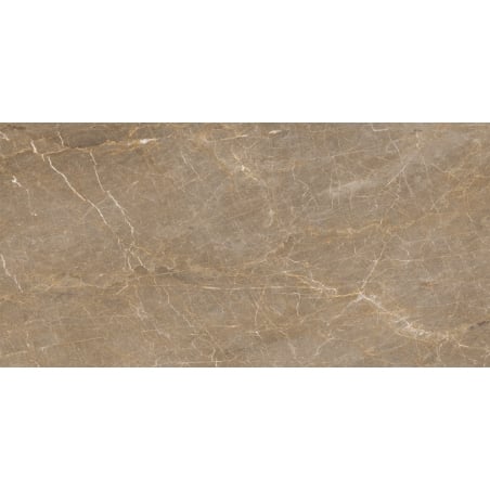 Mexen Nairobi Natural sample of glazed rectified porcelain stoneware, floor and wall tile 120 x 60 cm, gloss - TL160-02-S