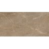 Mexen Nairobi Natural sample of glazed rectified porcelain stoneware, floor and wall tile 120 x 60 cm, gloss - TL160-02-S