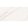 Mexen Colorado White sample of rectified glazed gres, floor-wall tile 120 x 60 cm, gloss - TL161-00-S