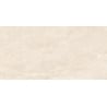 Mexen Nairobi Beige sample of glazed rectified porcelain tile G1, floor and wall tile 120 x 60 cm, glossy - TL160-00-S