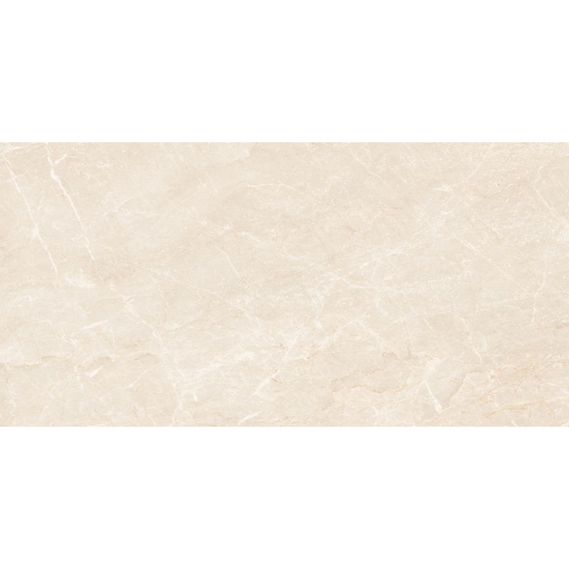 Mexen Nairobi Beige sample of glazed rectified porcelain tile G1, floor and wall tile 120 x 60 cm, glossy - TL160-00-S