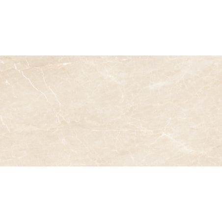 Mexen Nairobi Beige sample of glazed rectified porcelain tile G1, floor and wall tile 120 x 60 cm, glossy - TL160-00-S