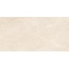 Mexen Nairobi Beige sample of glazed rectified porcelain tile G1, floor and wall tile 120 x 60 cm, glossy - TL160-00-S