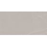 Mexen Windsar Grey sample of glazed rectified porcelain stoneware tile G1, floor and wall tile 120 x 60 cm, gloss - TL164-00-S